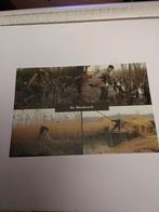 DE BIESBOSCH. 1988, Ophalen of Verzenden, 1980 tot heden