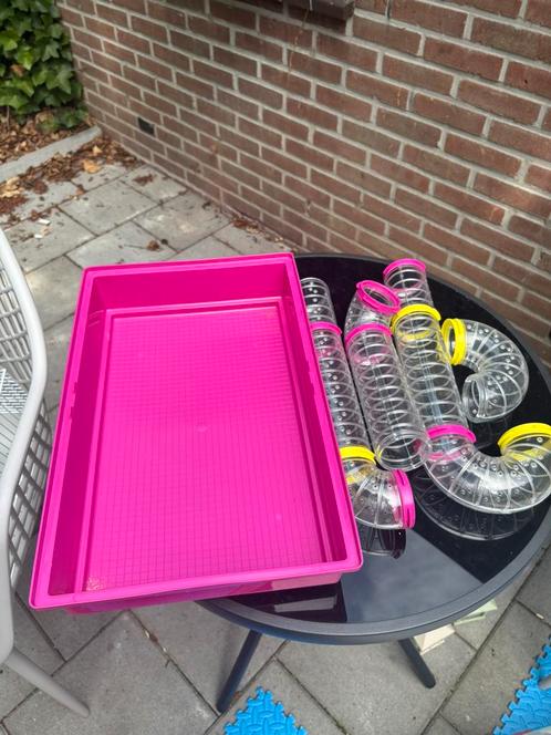 Knaagdieren kooi, Dieren en Toebehoren, Knaagdieren en Konijnen | Hokken en Kooien, Zo goed als nieuw, Kooi, Minder dan 60 cm