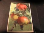 Voor het kind ansichtkaart 1939  Rijpe appels, Verzamelen, Ansichtkaarten | Themakaarten, Verzenden, 1920 tot 1940, Ongelopen