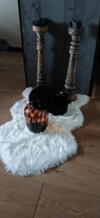 Katten oppas aangeboden, Dieren en Toebehoren, Ophalen of Verzenden, Kat