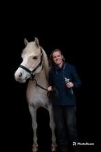 Professioneel paarden scheren 'Uw paard, mijn passie'