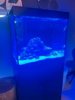 JUWEL LIDO 200 LED + MEUBEL INCL GARANTIE, Dieren en Toebehoren, Vissen | Aquaria en Toebehoren, Ophalen, Zo goed als nieuw, Leeg aquarium