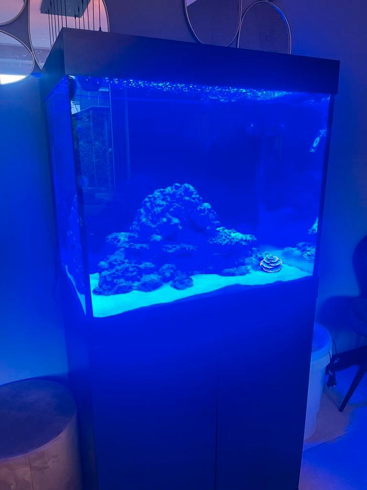 JUWEL LIDO 200 LED + MEUBEL INCL GARANTIE, Dieren en Toebehoren, Vissen | Aquaria en Toebehoren, Zo goed als nieuw, Leeg aquarium