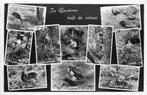 (377-141-017) Garderen, Verzenden, Gelderland