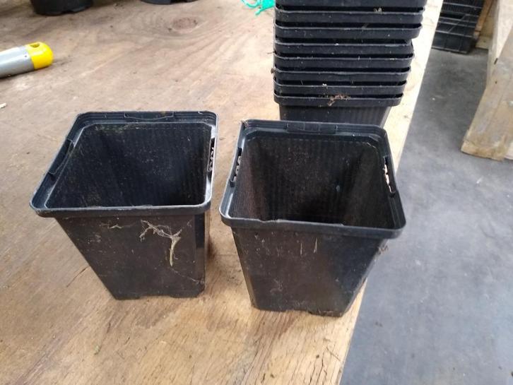 Gebruikte potjes, containers, P9, 2 en 3 liter voor hobbyist, Tuin en Terras, Bloempotten, Gebruikt, Kunststof, Minder dan 40 cm