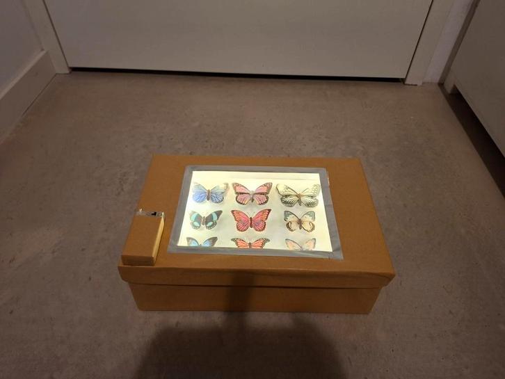 Sinterklaas surprise vlindervitrine met licht, Diversen, Sinterklaas, Nieuw, Ophalen of Verzenden