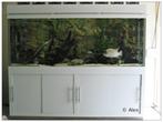 Aquarium 200 x 70 x70 cm, Ophalen, Gebruikt, Leeg aquarium