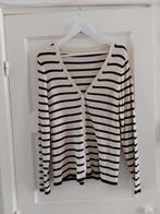 Vest Hema maat 42 🆕️, Overige kleuren, Maat 42/44 (L), Nieuw, Ophalen of Verzenden