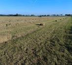 Kleine baaltjes droog hooi van licht bemest land, Dieren en Toebehoren, Dierenvoeding, Vee, Ophalen of Verzenden