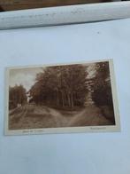 GROET UIT  'T JOPPE.  BOSCHGEZICHT, Ophalen of Verzenden, Voor 1920, Groningen