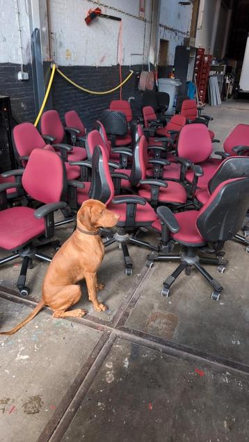 Partij Bureaustoelen - Rode Bekleding beschikbaar voor biedingen