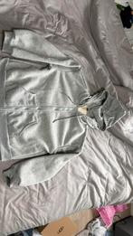 Fleece vest, Kleding | Dames, Maat 46/48 (XL) of groter, Ophalen of Verzenden, Zo goed als nieuw, Grijs