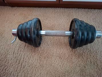 1 x 15 kg dumbbell gewicht fitness halter gietijzer 15 kilo beschikbaar voor biedingen