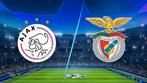 Ajax - Benfica 1 kaart, Tickets en Kaartjes, Eén persoon