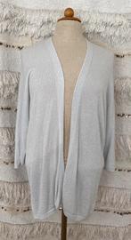 Zilver lurex vestje one size, Made in Italy, Overige kleuren, Maat 42/44 (L), Ophalen of Verzenden