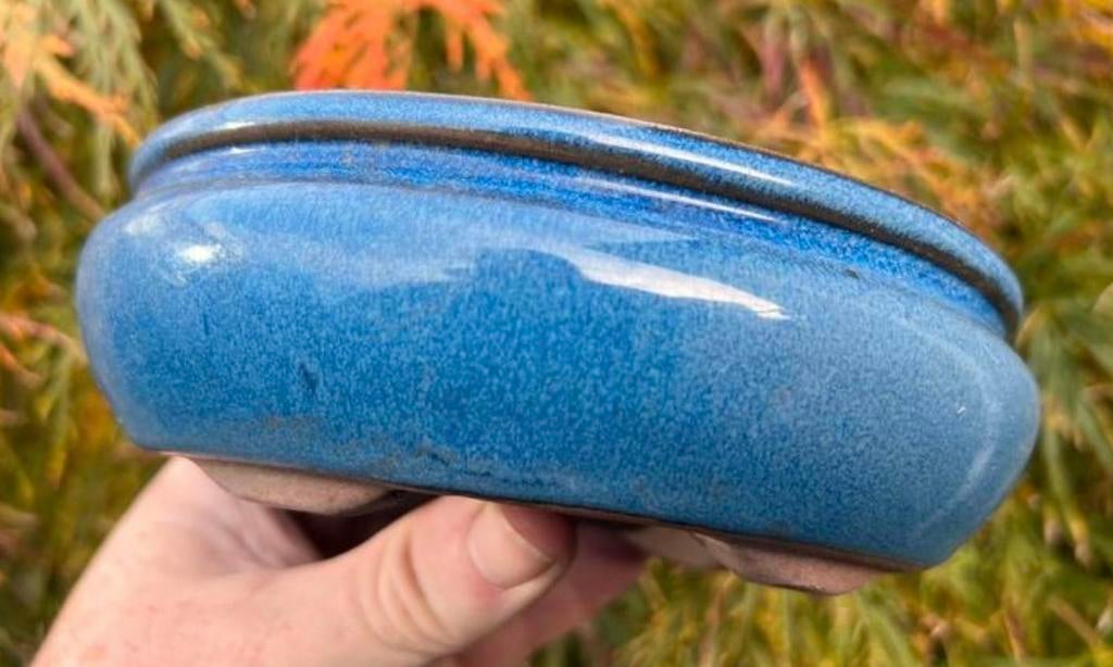 Bonsai schaal blauw geglazuurd aardewerk 16,4x13,8x5,2, Tuin en Terras, Ophalen of Verzenden, Zo goed als nieuw, Overige vormen