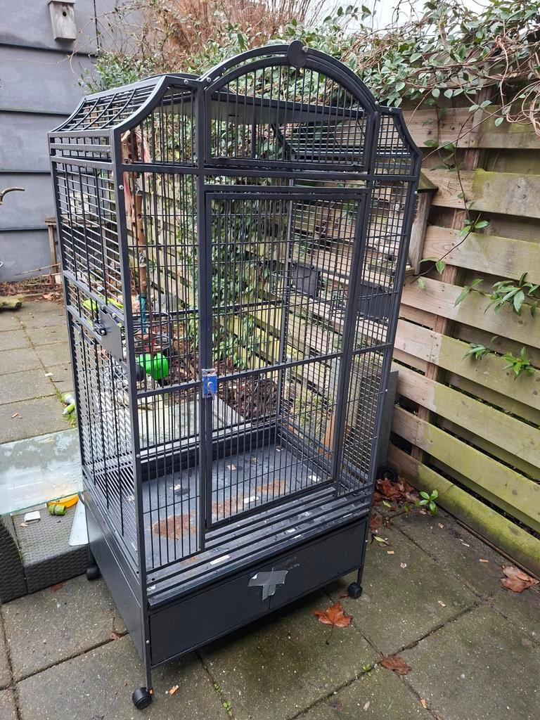 Grote papegaaienkooi, Ophalen, Gebruikt, Metaal, Vogelkooi