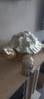 Gouden schilpad, Ophalen of Verzenden