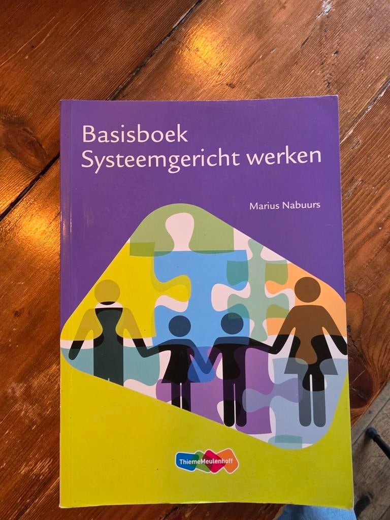 Marius Nabuurs - Systeemgericht werken, Ophalen of Verzenden, Zo goed als nieuw, Marius Nabuurs, Nederlands