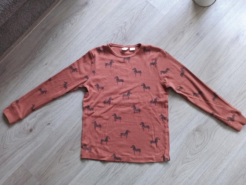Zara longsleeve met zebraprint - maat 134, Kinderen en Baby's, Kinderkleding | Maat 134, Gebruikt, Jongen of Meisje, Ophalen of Verzenden