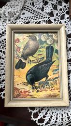 Merels, Ophalen of Verzenden