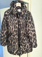 Rino en pelle panter jas, Maat 38/40 (M), Bruin, Ophalen of Verzenden, Zo goed als nieuw