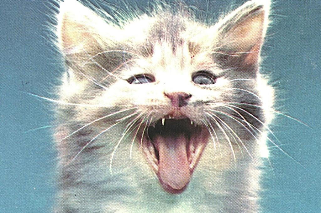 36159 Voor het kind vhk Poes Mooie oude kaart Onbeschreven, Ophalen of Verzenden, 1980 tot heden, Ongelopen, Noord-Brabant
