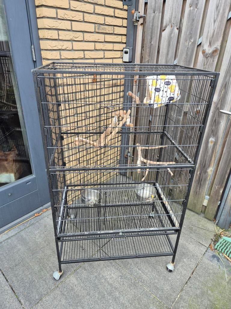 Grote vogelkooi, Dieren en Toebehoren, Vogels | Hokken en Kooien, Ophalen, Zo goed als nieuw, Metaal, Vogelkooi