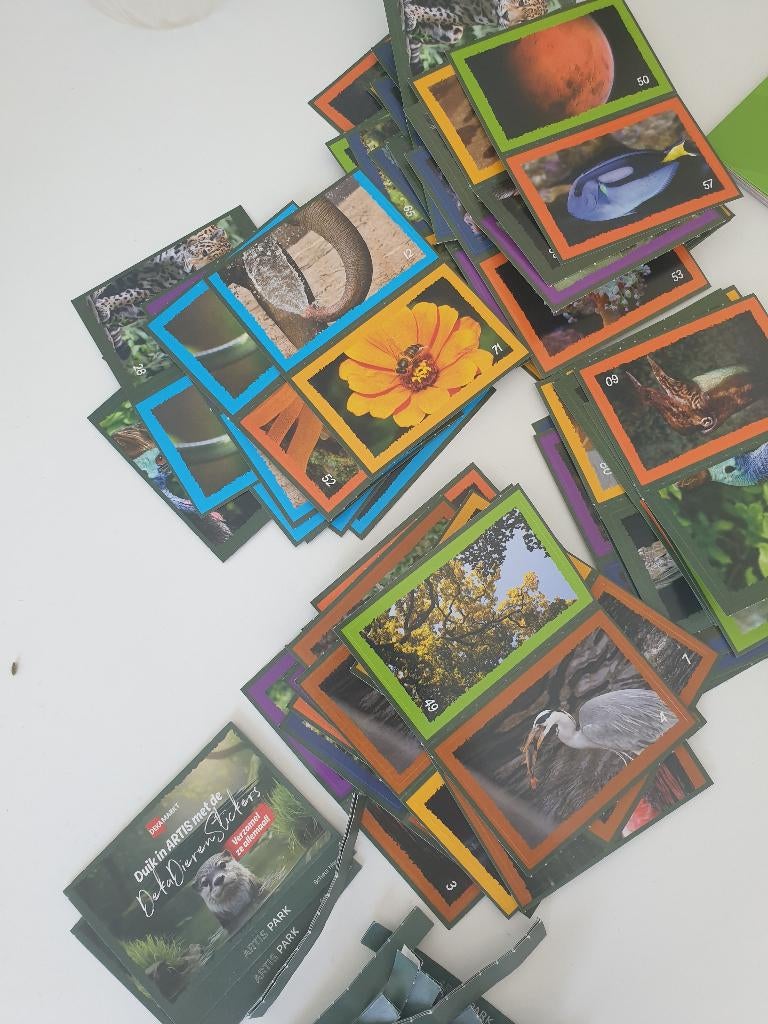 ARTIS-actie DekaMarkt, Dekamarkt, Ophalen