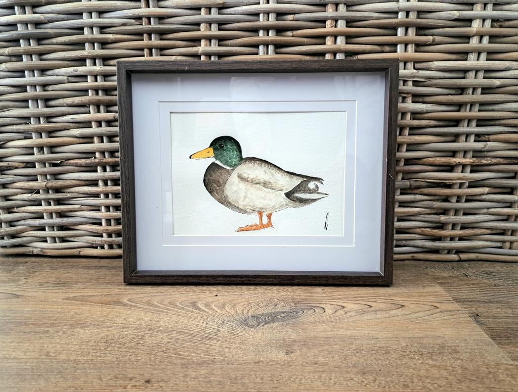 Aquarel eend woerd origineel in lijst, Huis en Inrichting, Minder dan 50 cm, Nieuw, Ophalen of Verzenden, Minder dan 50 cm
