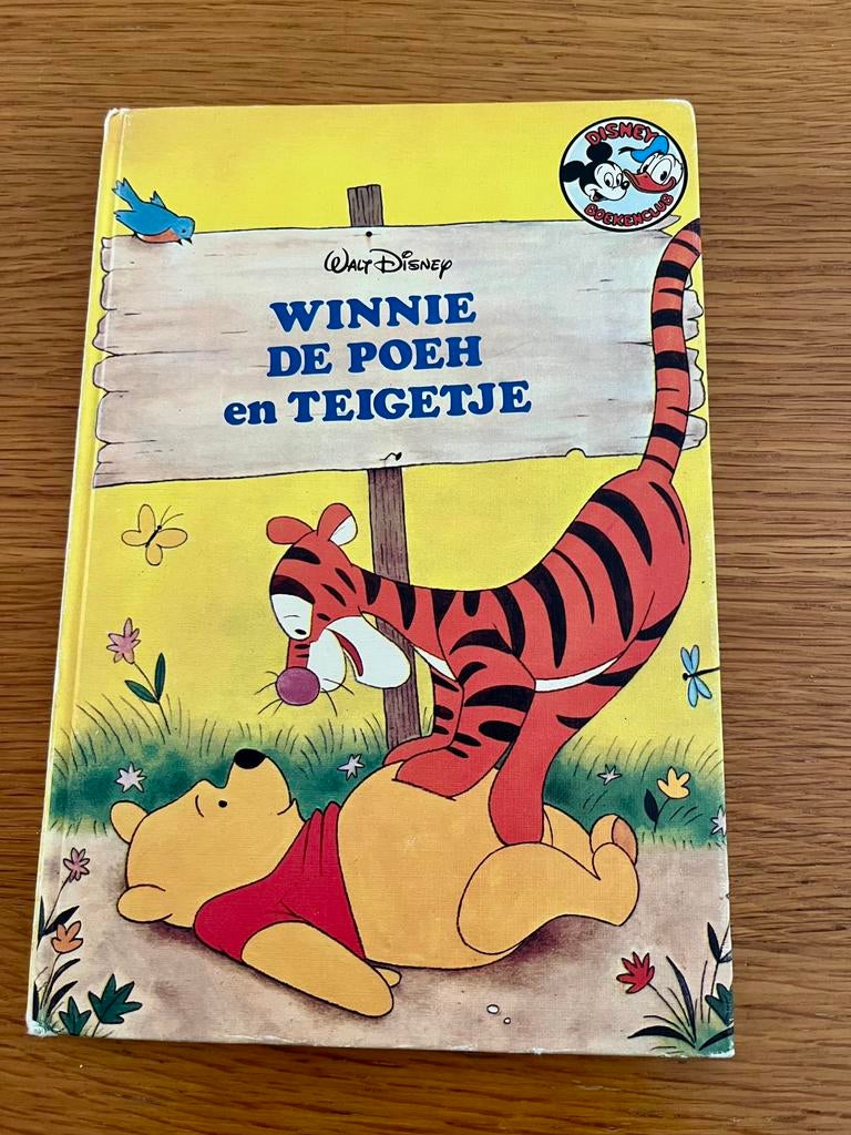 Winnie de Poeh en Teigetje - Disney Boek, Boeken, Ophalen of Verzenden, Gelezen, Fictie algemeen