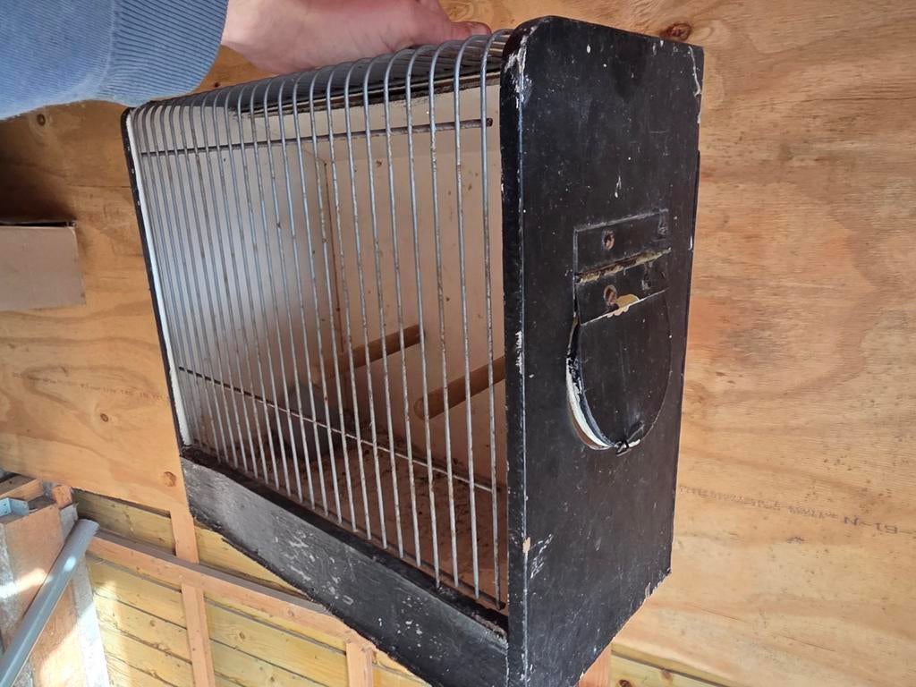 Tt-kooi vogelkooi tentoonstelling, Dieren en Toebehoren, Vogels | Hokken en Kooien, Ophalen, Hout, Vogelkooi