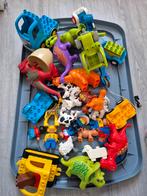 Diverse Duplo set met dieren, dino's, voertuigen en plaat, Ophalen, Gebruikt, Duplo