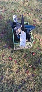 Peugot v clic kappen, Ophalen, Gebruikt, Benzine, Overige modellen