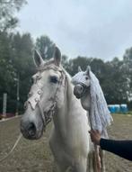 Hobby horse zadeldekje oornetje halstertouw tas, Verzenden, Nieuw, Overige soorten