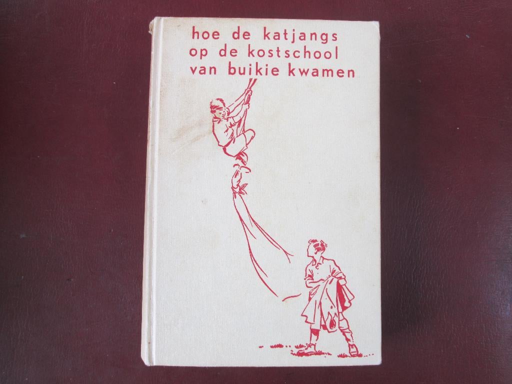 Hoe de Katjangs op de kostschool v. Buikie kwamendoor Schuil, Ophalen of Verzenden, Gelezen, Fictie
