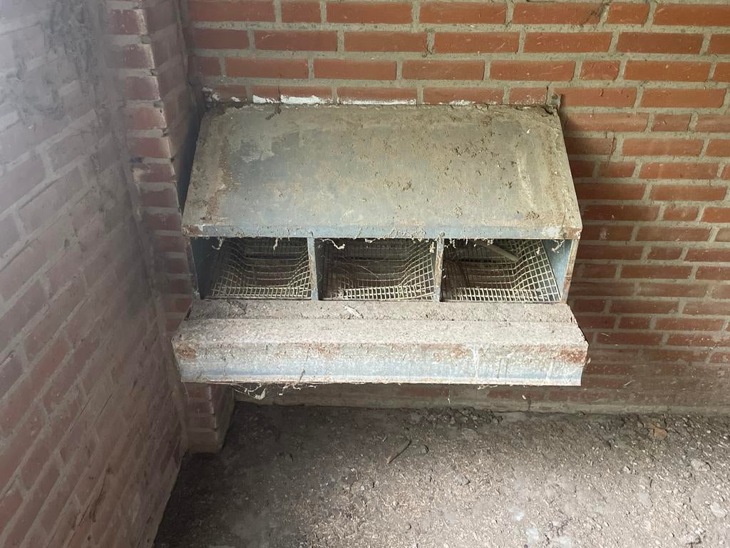 Legbatterij kippen, Ophalen, Drinken en Voederen