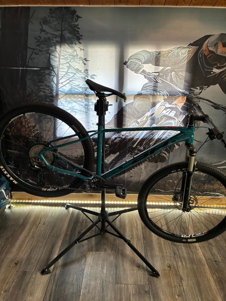 ‍️ BH Expert MTB – Licht aluminium – 29”, Overige merken, Hardtail, Heren, Nieuw