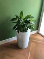 Bloempot groot, wit matglas, sierpot voor binnen, Overige materialen, Rond, Binnen, Zo goed als nieuw