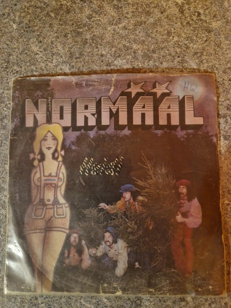 Normaal single vinyl 7" Nederlandstalig heidi lever moar in, Cd's en Dvd's, Vinyl Singles, Gebruikt, Verzenden, 7 inch, Single