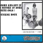 southern culture on the skids/come and get it-garage/punk, Gebruikt, Verzenden, 7 inch, Single
