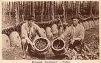 Putten -  Koudhoorn -  Bijenpark Koudhoorn - Imkers 1937, Ophalen of Verzenden, 1920 tot 1940, Gelopen, Gelderland