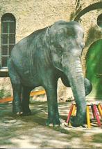 Olifant., Verzenden, 1980 tot heden, Gelopen, Wild dier