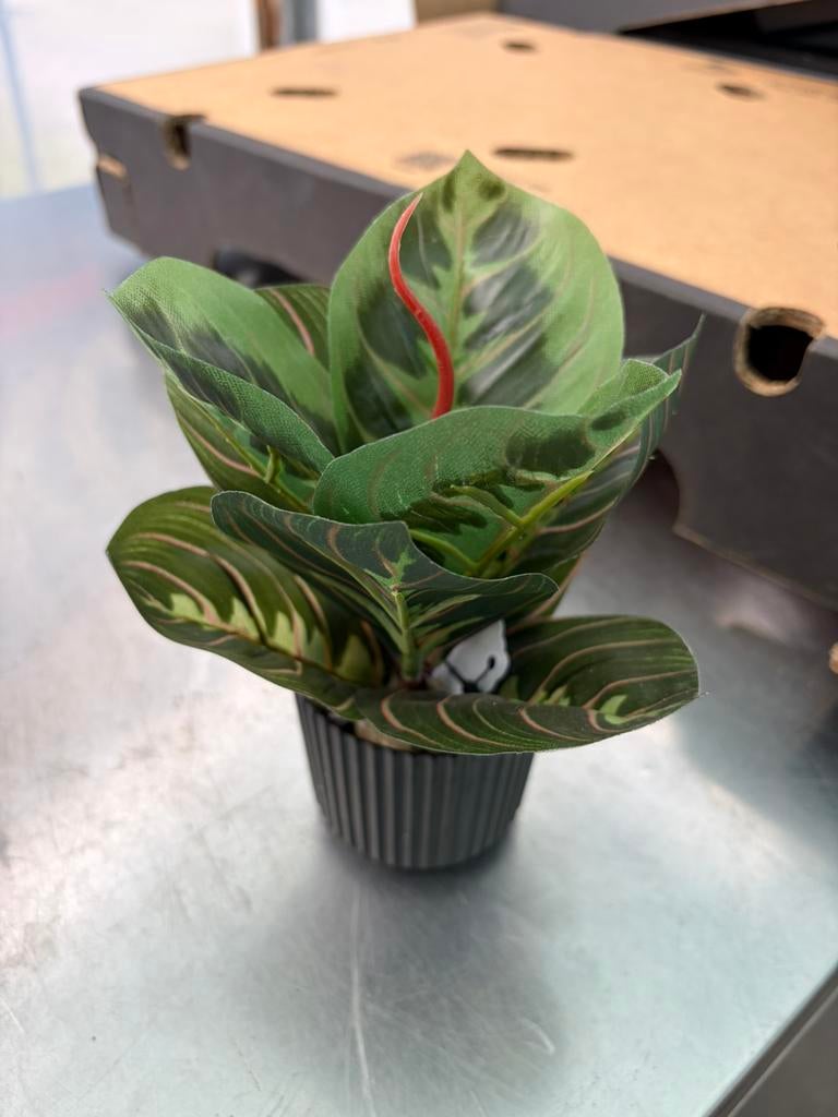 Kunst pkanten partij mix, Ophalen, Nieuw