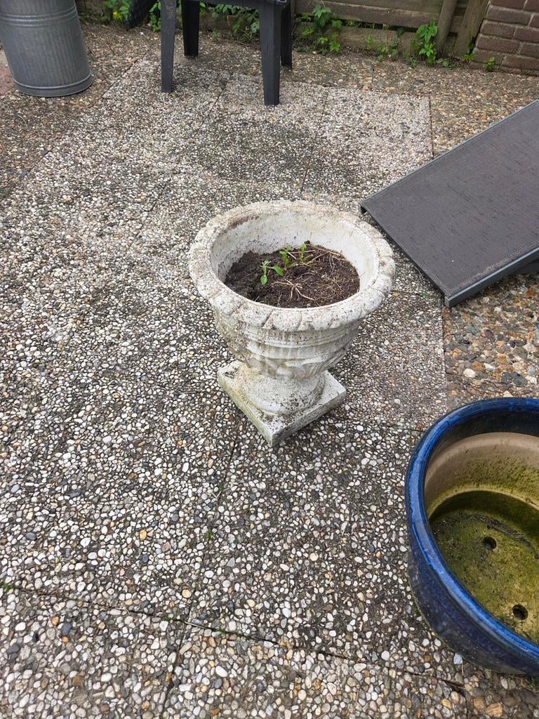 Beton planten bakken, Ophalen of Verzenden, Rond, Minder dan 25 cm