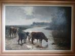 Koeien - Henry Schouten - olieverf op doek, ingelijst, gesig, Ophalen