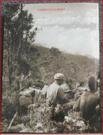Armamentaria - Jaarboek Legermuseum 2002, Ophalen of Verzenden, Zo goed als nieuw, Gerard Groeneveld, Voor 1940