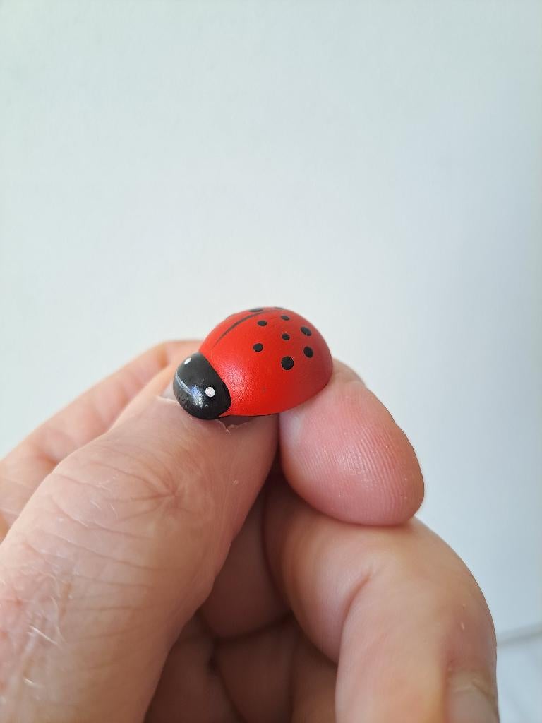 Lieveheersbeestje, hout 2x2x1cm, Ophalen of Verzenden, Zo goed als nieuw, Wild dier, Beeldje of Figuurtje