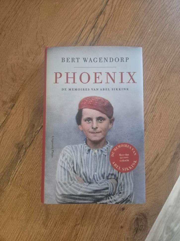 Bert Wagendorp - Phoenix, Boeken, Literatuur, Zo goed als nieuw, Amerika, Ophalen of Verzenden