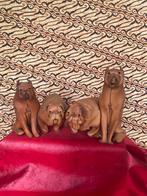 4 VINTAGE LEDEREN “DERU” HONDEN (60ER JAREN)., Verzamelen, Beelden en Beeldjes, Ophalen of Verzenden, Zo goed als nieuw, Dier